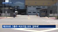서울보증보험 철회·에코프로 급락…불안한 흐름에 에코프로머티리얼즈 IPO 흥행 '미지수'