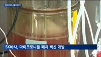 '마이크로니들'이 뜬다…JW·SK바사 의약품 개발 경쟁 탄력