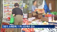 3분기 소매판매 11개 시도에서 감소