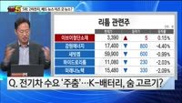 [오늘장TOP5 5위] 전기차 업황 정말 나빠지나? 2차전지, 향방은?