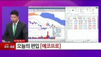 [특이점 종목] 에코프로 (086520) 