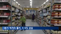 3분기 먹거리 물가, 5~6% 상승…처분가능소득은 3% 증가에 그쳐