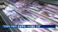 정부 "오징어·고등어 공급확대…수산물값 안정 뒷받침"
