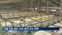 10월 산업 생산·소비·투자 일제히 하락