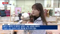 [집중취재] 항공업계, '펫 휴머니제이션' 트렌드에 반려동물 마케팅 활발