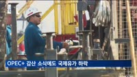 OPEC+ 감산 소식에도 국제유가 하락…WTI 2.4% 하락