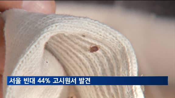 서울 빈대 44% 고시원서 발견…주거취약시설 중점 관리