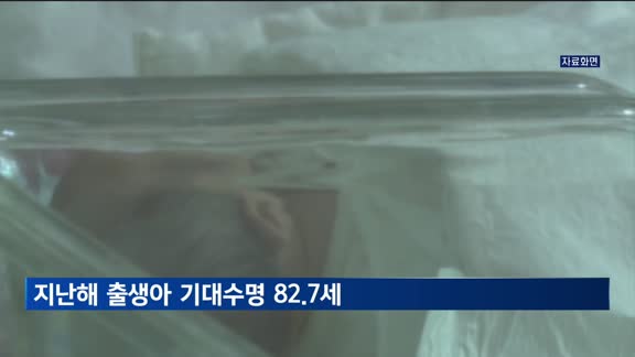 지난해 출생아 기대수명 82.7세…코로나로 52년 만에 첫 감소