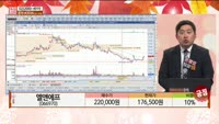 [주상전화] 엘앤에프 (066970)