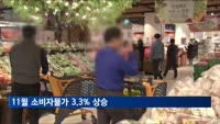 11월 소비자물가 3.3%…4개월째 3%대