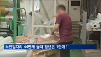 지난해 노인 일자리 44만 개 늘어날 때 청년층은 1만 개 증가