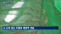 "환경보호·동물복지"…배양육 미래 이끄는 스타트업들