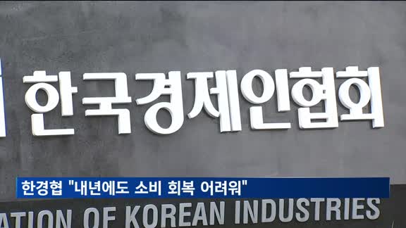 한경협 "내년에도 소비 회복 어려워"