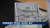 국제금융센터 "엔/달러 환율, 내년에도 횡보 전망"