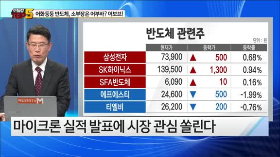 [오늘장TOP5 5위] 어화둥둥 반도체, 소부장은 어부바? 어보브!