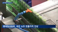 세금 인하에 낮아지는 소주 출고가…소매가는 '미지수'