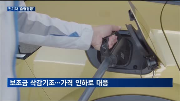 완성차업계 전기차 '출혈경쟁'…'캐즘' 탈출에 몸부림