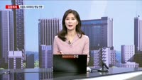 [집중취재] 대형마트 의무 휴업 평일 전환 추진…소상공인 반발 우려