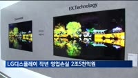 LG디스플레이 작년 영업손실 2조 5천102억 원…적자 확대