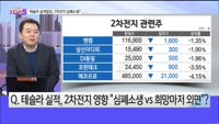 [오늘장TOP5 5위] 엘앤에프, 에코프로...테슬라 실적 실망에 하락