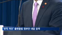 '반칙 차단' 플랫폼법 정부안 내달 윤곽
