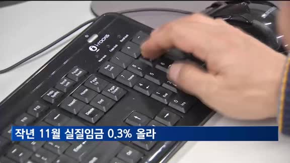 지난해 11월 실질임금 0.3% 올라 330만 원