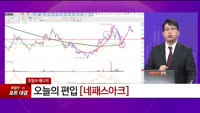 [특이점 종목] 네패스아크 (330860) 