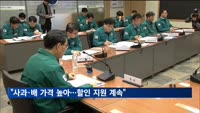농식품부 차관 "사과·배 가격 높아…166억 원 할인 지원"