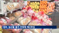 정부, 농산물 물가 안정에 예산투입…사과·배 40% 할인 지원