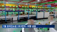 1월 온라인쇼핑 2조3천억…여행·교통 25.8% 증가