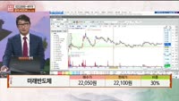 [주상전화] 미래반도체 (254490)