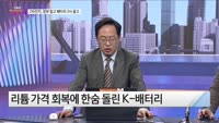 [오늘장TOP5 4위]  2차전지, 정부가 밀고 배터리 3사가 끈다!