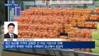 '천정부지' 물가…과실 물가 고공행진에 정부 지원 집중