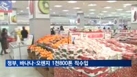 정부, 바나나·오렌지 1천800톤 직수입