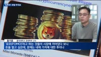 밈코인에 밈주식까지…'밈투자' 과열 주의보