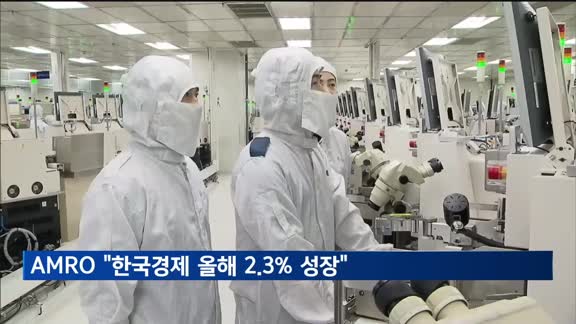 AMRO "한국경제 올해 2.3% 성장"