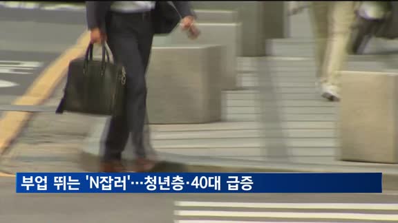부업 뛰는 'N잡러'…청년층·40대 급증