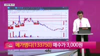 [생생한 주식쇼 생쇼] 메가엠디 (133750) 