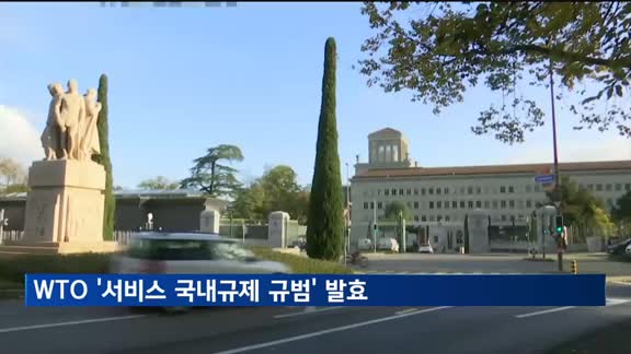 WTO '서비스 국내규제 규범' 발효