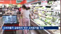 2021년 이후 물가 12.8% 급등…소비증가율 5%p 끌어내려