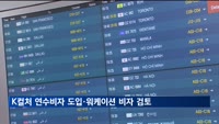 K컬처 연수비자 도입·워케이션 비자 검토