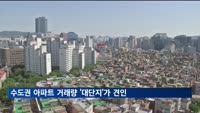 수도권 아파트 거래량 '대단지'가 견인