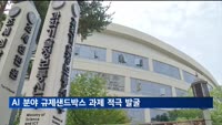 AI 분야 규제샌드박스 과제 적극 발굴