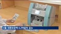 6월 외환보유액 6.2억달러 감소…외평채만기 등 영향