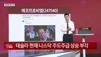 [생생한 주식쇼 생쇼] 에코프로비엠 (247540)