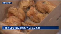 교촌, 판교 시대 개막 이어 신메뉴 출시…"반등 시동"