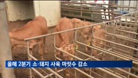 올해 2분기 소·돼지 사육 마릿수 감소