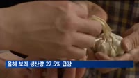 올해 보리 생산량 27.5% 급감…역대 최소