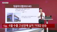 [생생한 주식쇼 생쇼] 잉글우드랩 (950140)