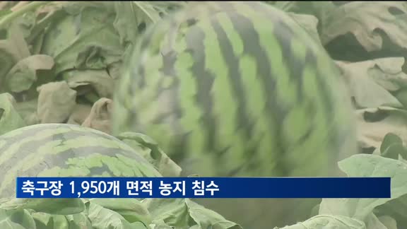 폭우에 침수된 농지 면적 축구장 1천950개 수준